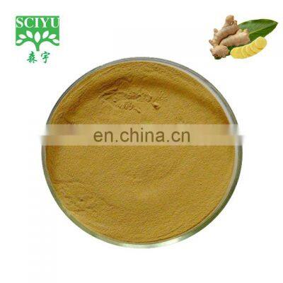 Wholesale Price Organic ginger root extract 5% gingerol