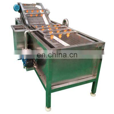 Prickly Pear Melon Apple Cleaning Machine Cucumber Strawberry Lettuce Fruit Bubble Washing Machine