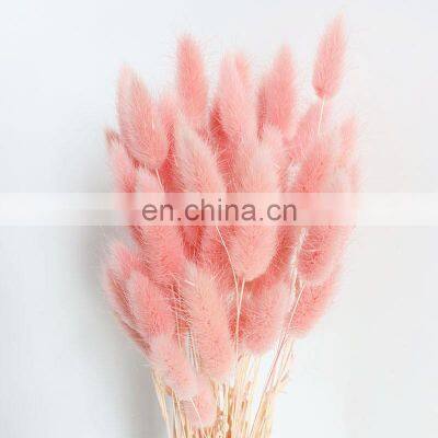 Wholesales Hot Sale Preserved Natural Flowers Bouquet Bunny Tail Dried Decorative Pink Colorful Lagurus Home Wedding Decoration