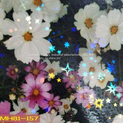 Holographic Film Laser Custom Cold Lamination Film photo-4