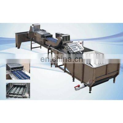 full automatic egg cleaning and sorting packing line production line processing line