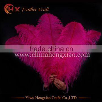 China HX Wholesale Cheap Big Size White Ostrich Feathers for Sale photo-2