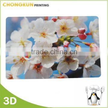 Eco-friendly 100% PP Custom Printed Placemats