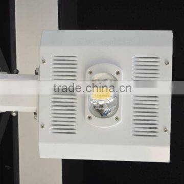 High Light Efficiency Energy Saving LED Courtyard Lamp 50W Garden Lamp photo-4