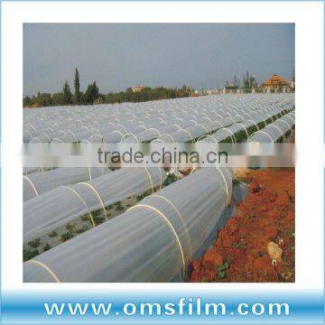 Low tunnel mushroom greenhouse film for Turkey