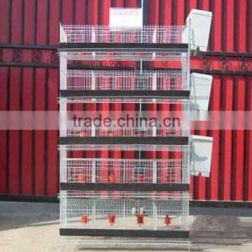 2014 hot selling cheap quail cages design for sale