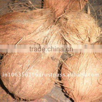 Matured Coconut For Sale From Kerala