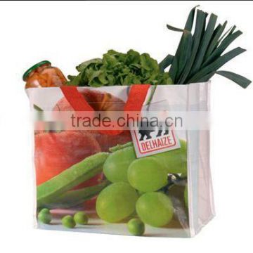 2014 New Product shopping bag& shopping basket