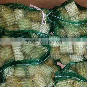 Sugarcane Cut photo-2