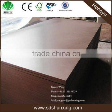 18mm eucalyptus core plywood for construction