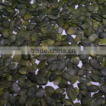 Shopping Websites for Pumpkin Seeds Grown Without Shell, Dark Green Pumpkin Seeds Without Shell