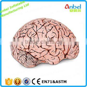 Emergency Inflatable Brain Lifelike Blow Up Vinyl Funny Prank Inflatable Brain Model for Display