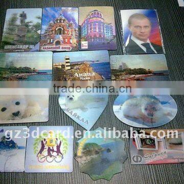 3D Fridge Magnet Sticker
