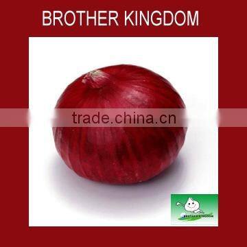 Shandong fresh yellow Onion