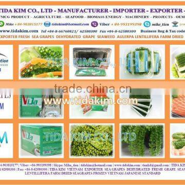 SEA GRAPES - CAULERPA LENTILLIFERA - SEAWEED VIETNAM - GREEN CAVIAR -OKINAWA TIDA KIM - OEM PRODUCTION- FRESH DEHYDRATED-JAPAN photo-2