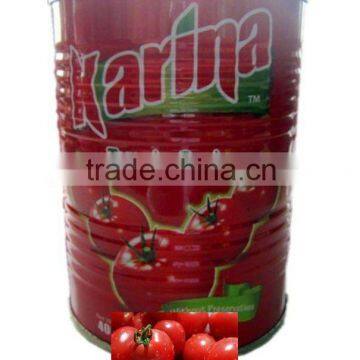 800g canned tomato paste 28-30,export to Africa Middle East,manufacturer