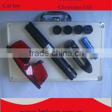 445nm 1200mw blue laser pointer with 5 pattern heads