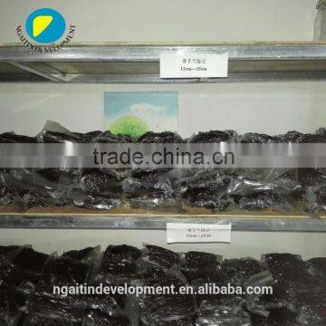 15-18cm Real Madagascar Black Vanilla Bean