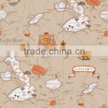 C11202 kids world map interior wallpaper catalogue