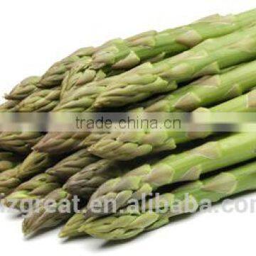 Supplying IQF Vegetables- IQF Frozen Green Asparagus For Sales