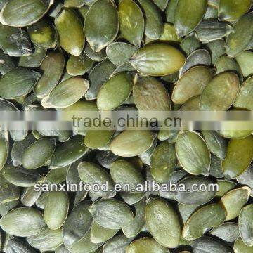 Bulk Pumpkin Seeds GWS Grade AA