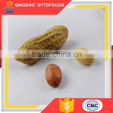 Wholesale spicy roasted peanuts made in China