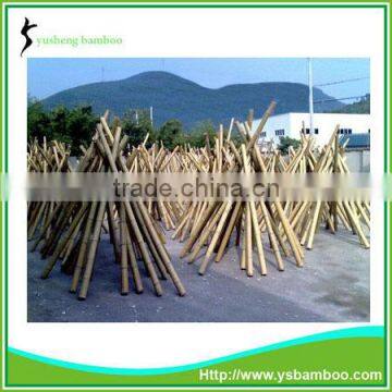 stadium light bamboo poles