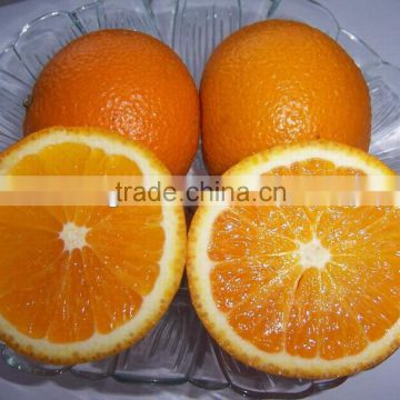 Fresh Navel orange-top quality