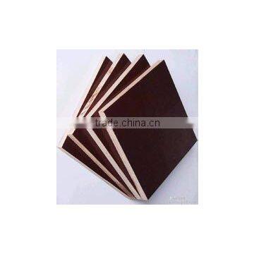 17mm black film face plywood for construction