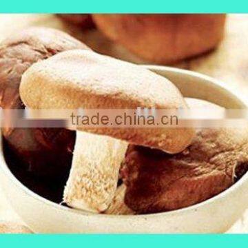 Fresh Shiitake Mushroom