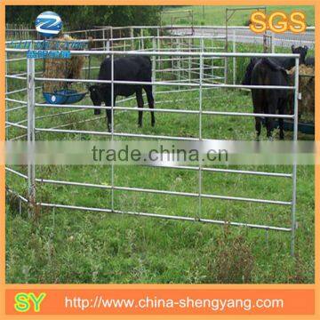 Good quanlity hot dipped powder coated livestock panels/sheep fence