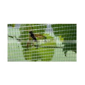 Polyethylene Cross Pollination Nets,bee Netting photo-2