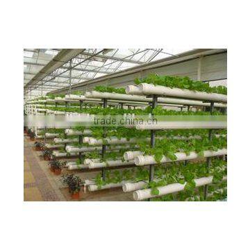 hydroponic systems greenhouse