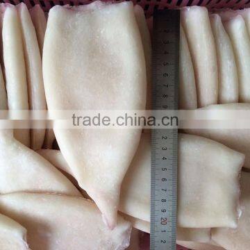 Frozen Squid Tubes With Different Size in Sale photo-3
