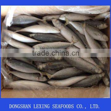 round scad