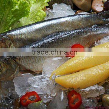 seanfood frozen herring fillets(clupea Harengus)