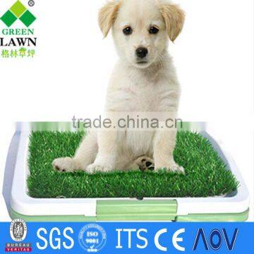 WUXI GREENLAWN Model G008 Artificial Turf for pet mat