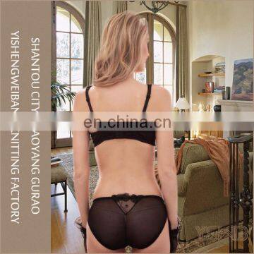 Woman Fashion Underwear Set Transparent Lace Bra and Brief Sets photo-2