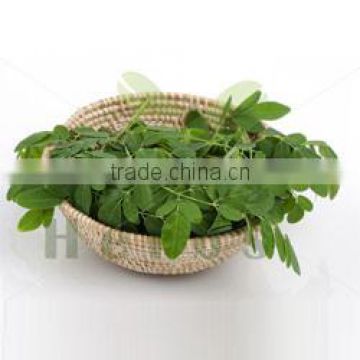 Organic Moringa Leaves