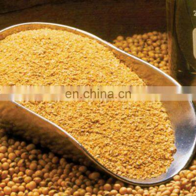 Soybean With High Protein for Animal Feed/Soybean Meal Animal Feed Made in Vietnam photo-4