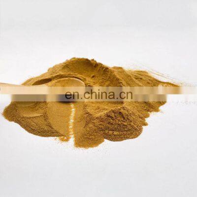 Hot Sell Organic Hericium Erinaceus Mushroom Extract Lions Mane Extract Mushroom