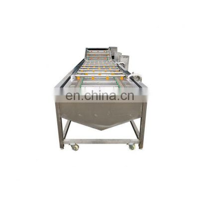 bubble cleaning washing machine leaf vegetable fruit washing machine carrot washing line cocoa bean cleaning machine