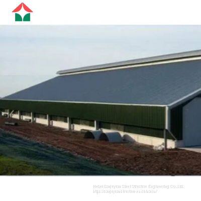 Low Cost Prefabricated Steel Chicken House for Sale Designs