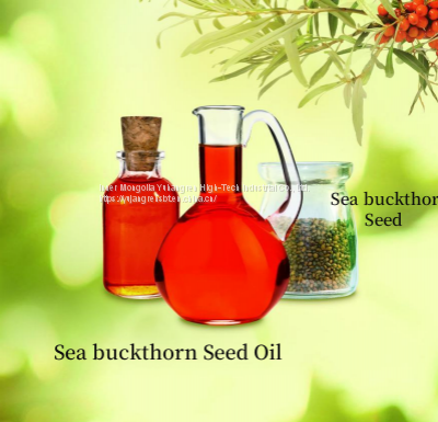 Sea Buckthorn Puree