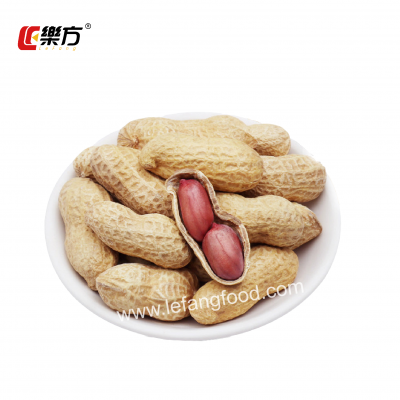 Wholesale Roasted Peanuts With Garic Flavor 280g Factory Price Nuts Snacks Brand Le Fang Traditional Process Series photo-5