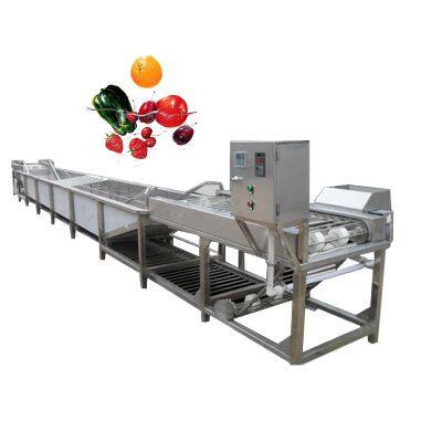 Fruit and Vegetables Ultrasonic Washer Industrial