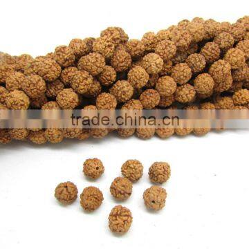 SB6323 Nepal Rudraksha Beads,Rudraksha Mala Beads,Natural Seed Prayer Beads                        
                                                Quality Choice