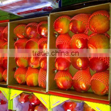 Fruit Protection Sleeve Net