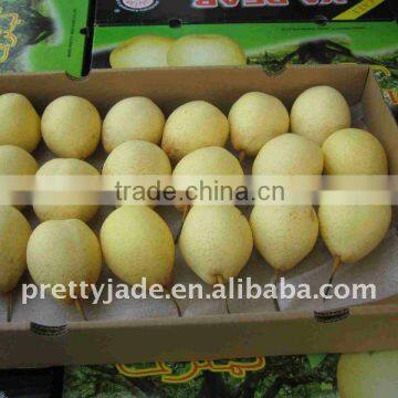 new crop chinese fresh ya pear