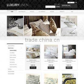 Web Development Companies photo-3